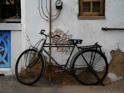 animal-kingdom-bike