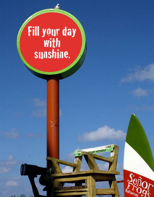 fill your day with sunshine, quote, life, inspiration