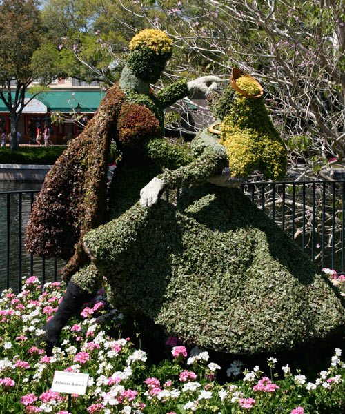 Cinderella topiary