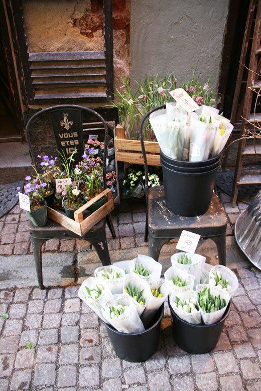 flower shop, store front, flowers, shopping in Gamla Stan Stockholm, flower store window