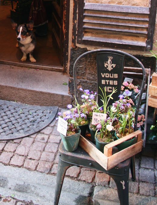 flower shop in Sweden, european flower shop