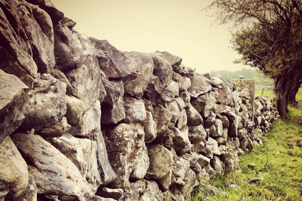 Rock fence on a field in Ireland I @SatuVW