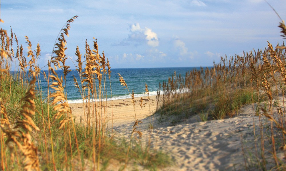 Travel Insight Culinary Travel to Outer Banks for Taste of the Beach