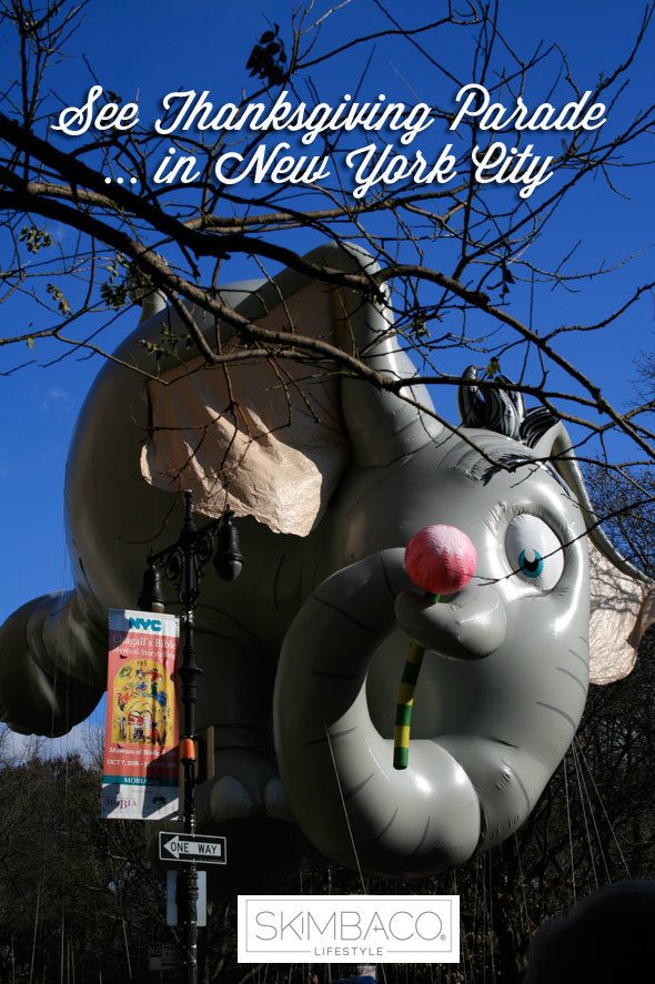 Bucket list - see Thanksgiving parade in New York City