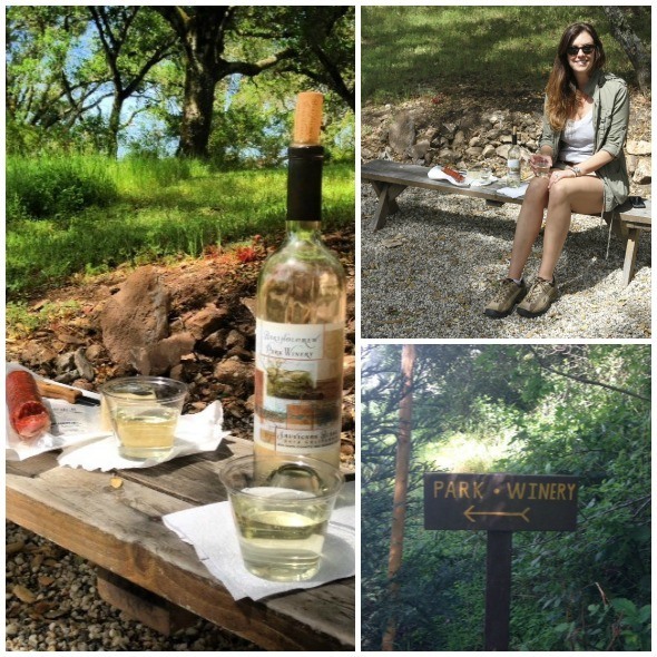 Picnic at Bartholomew Park Winery 