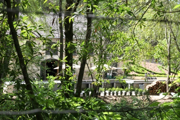 View of Buena Vista Winery from Bartholomew Park Winery Trail 