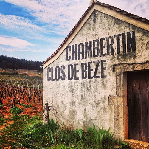 Chambertin clos de Beze in Burgundy, France. Instagram travel photo by @skimbaco