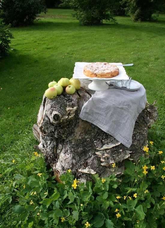 Apple cake served in the garden