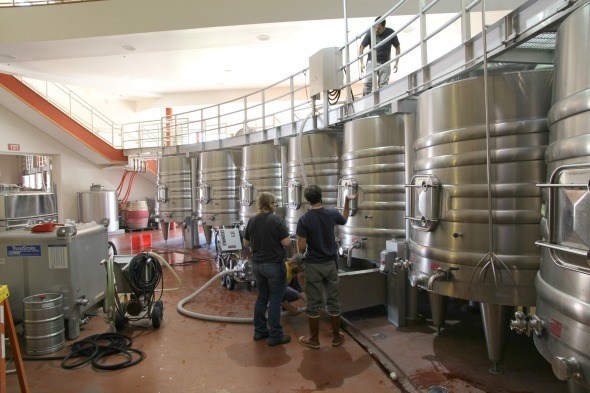 Vineyard 29 Barrel Room 