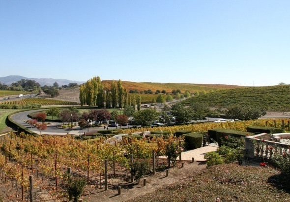 Domaine Carneros View from the Patio