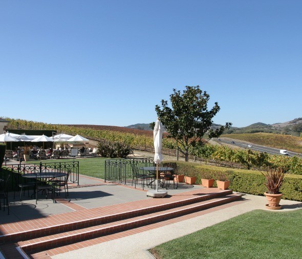 Grounds of Domaine Carneros 