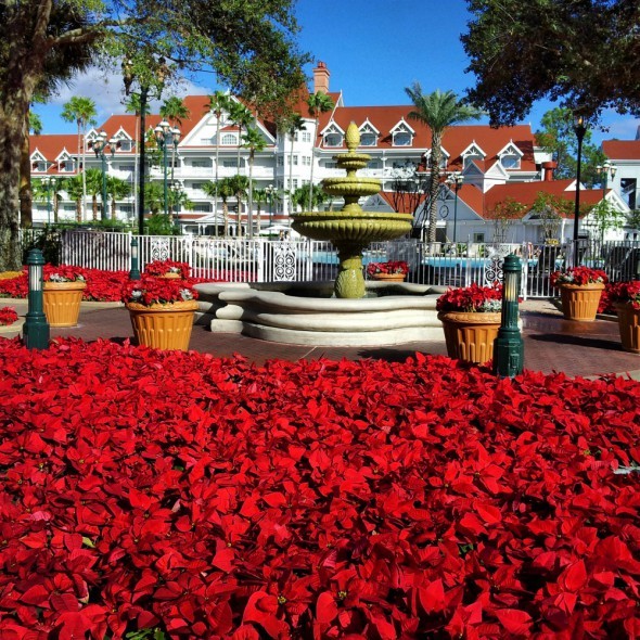 Disney's  Grand Floridian at Christmas 