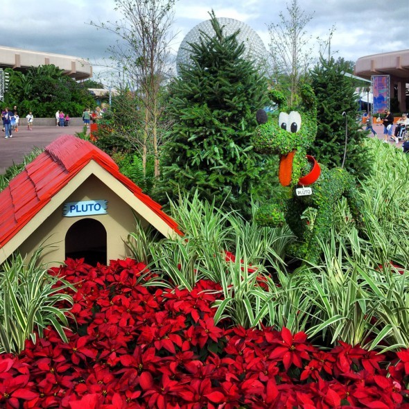 Pluto at Epcot During Christmas