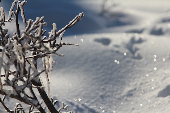 Snowy Frozen Norway I @SatuVW I Destination Unknown