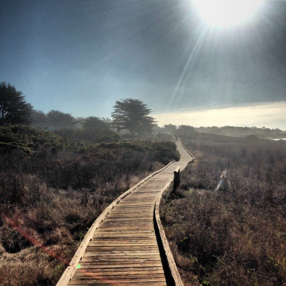 Moonstone Beach Boardwalk