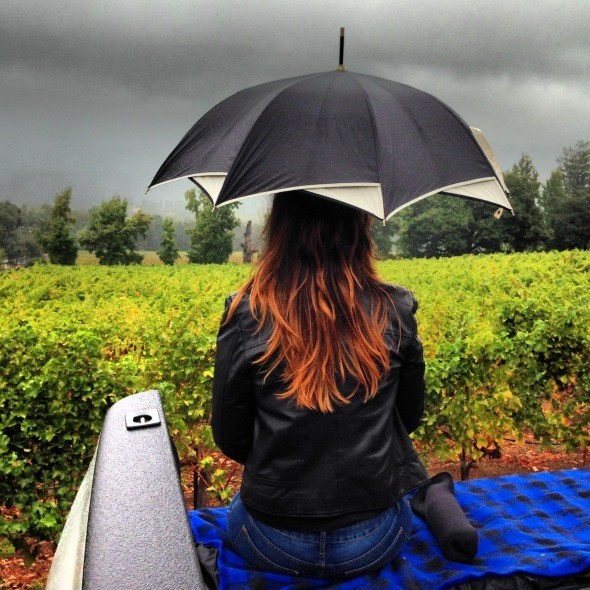 Vineyard Picnic in the rain 