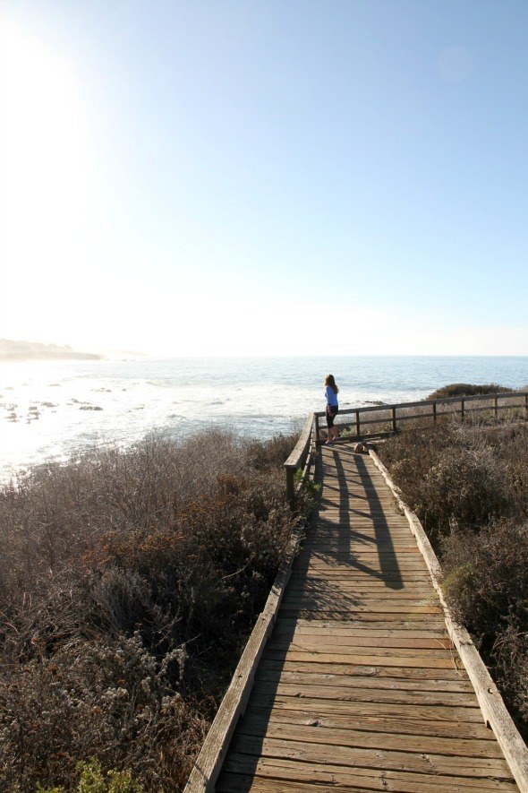 Moonstone Beach in Cambria, California 