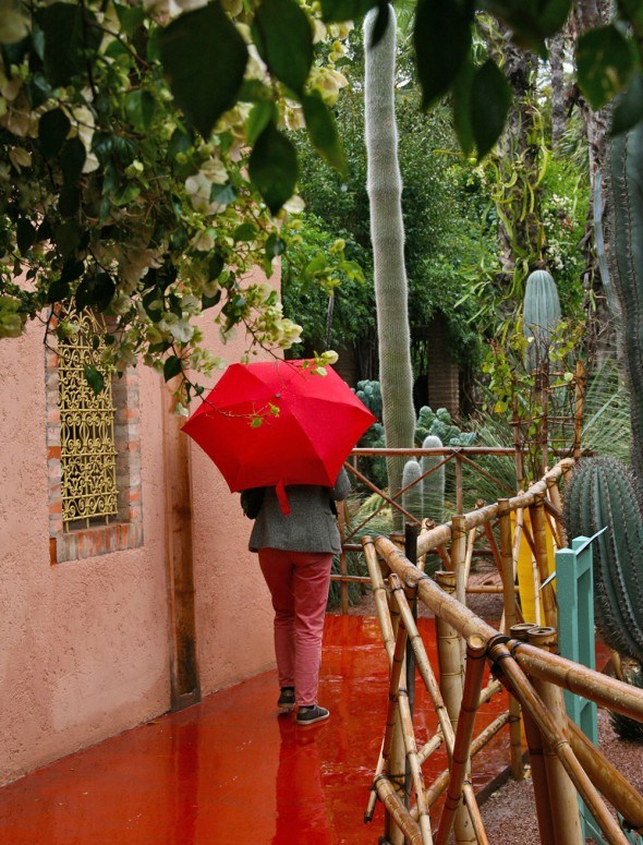 Jardin Majorelle, Marrakech | Photo by Katja Presnal @skimbaco