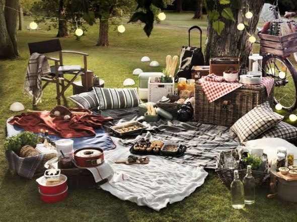 host a fun backyard picnic