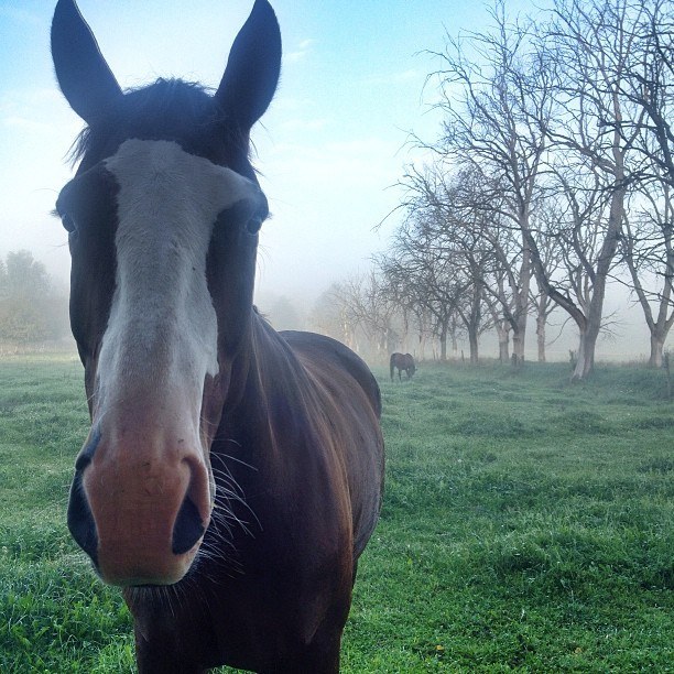 Swedish country side Instagram photos | Instagram travel photo by skimbaco http://instagram.com/skimbaco