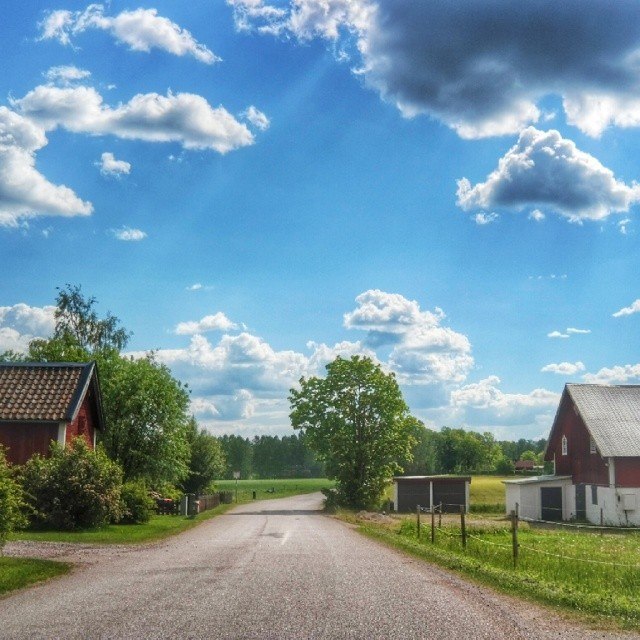 Swedish countryside in instagram photos by skimbaco http://instagram.com/skimbaco