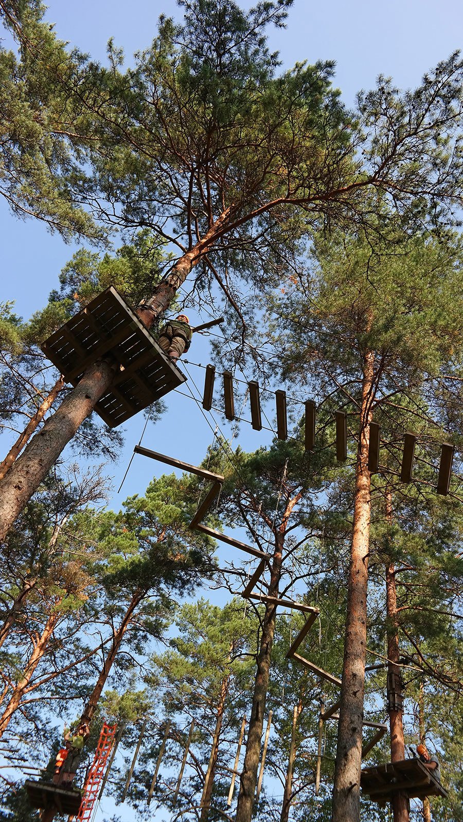 flowpark-tree-climbing-in-turku