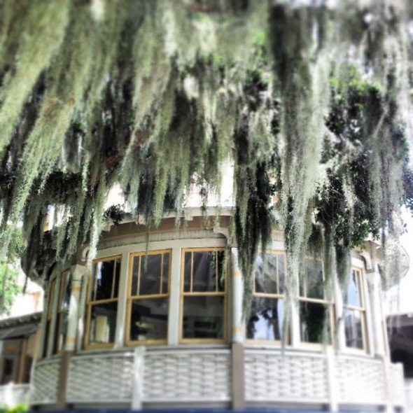 haunted islands, Jekyll Island Club Hotel, 