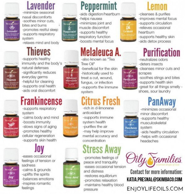 The Everyday Essential Oils are a great way to start exploring more about essential oils. 
