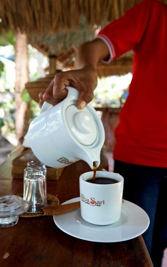 trying-civet-coffee-in-bali