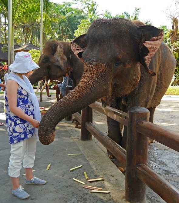 elephant safari in Bali
