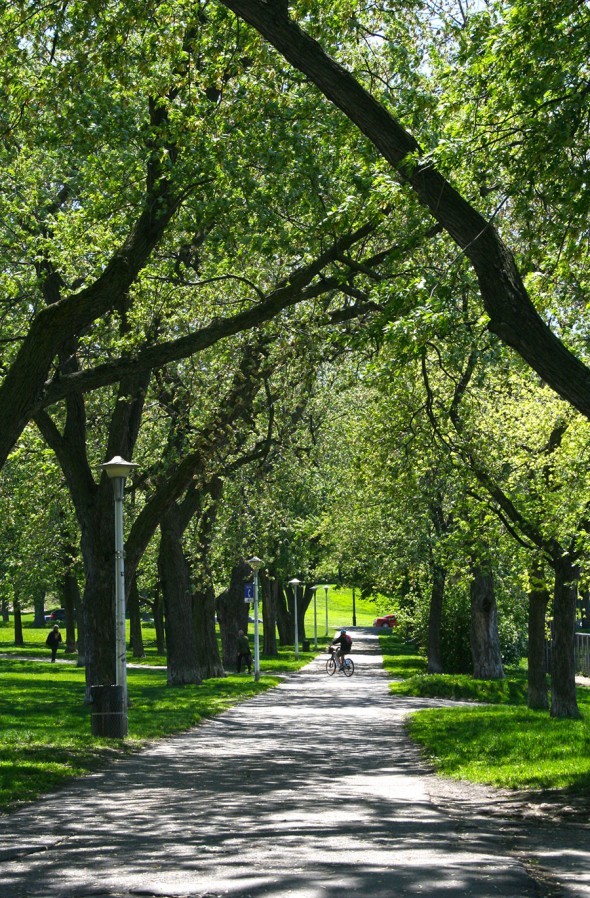 Park in Montreal