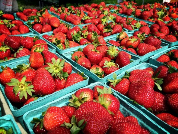 strawberries farmers market in Middleburg VA by Keryn Means