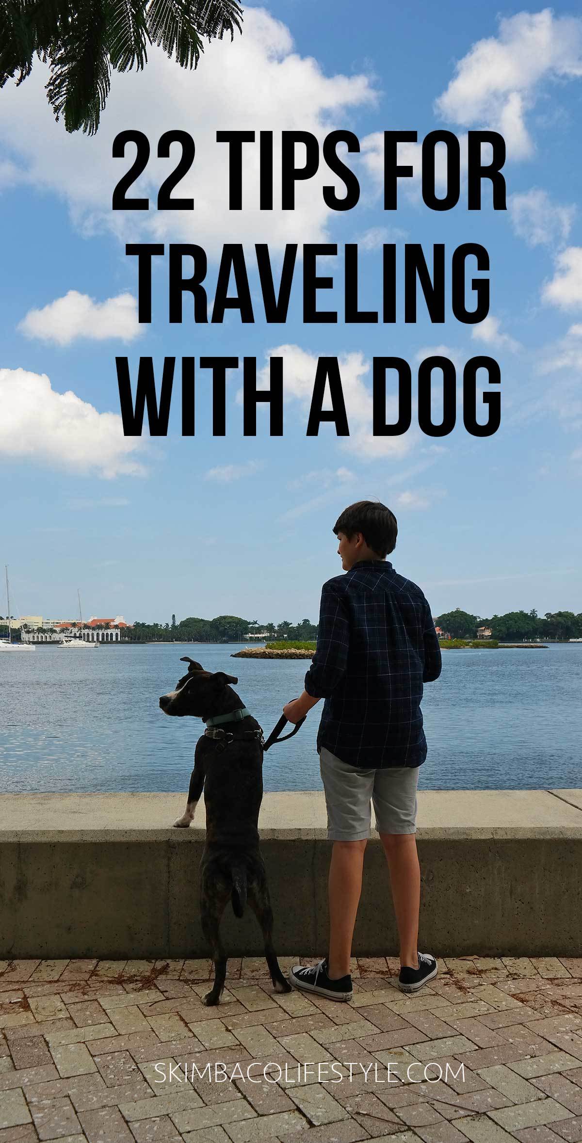 ways to travel with dog