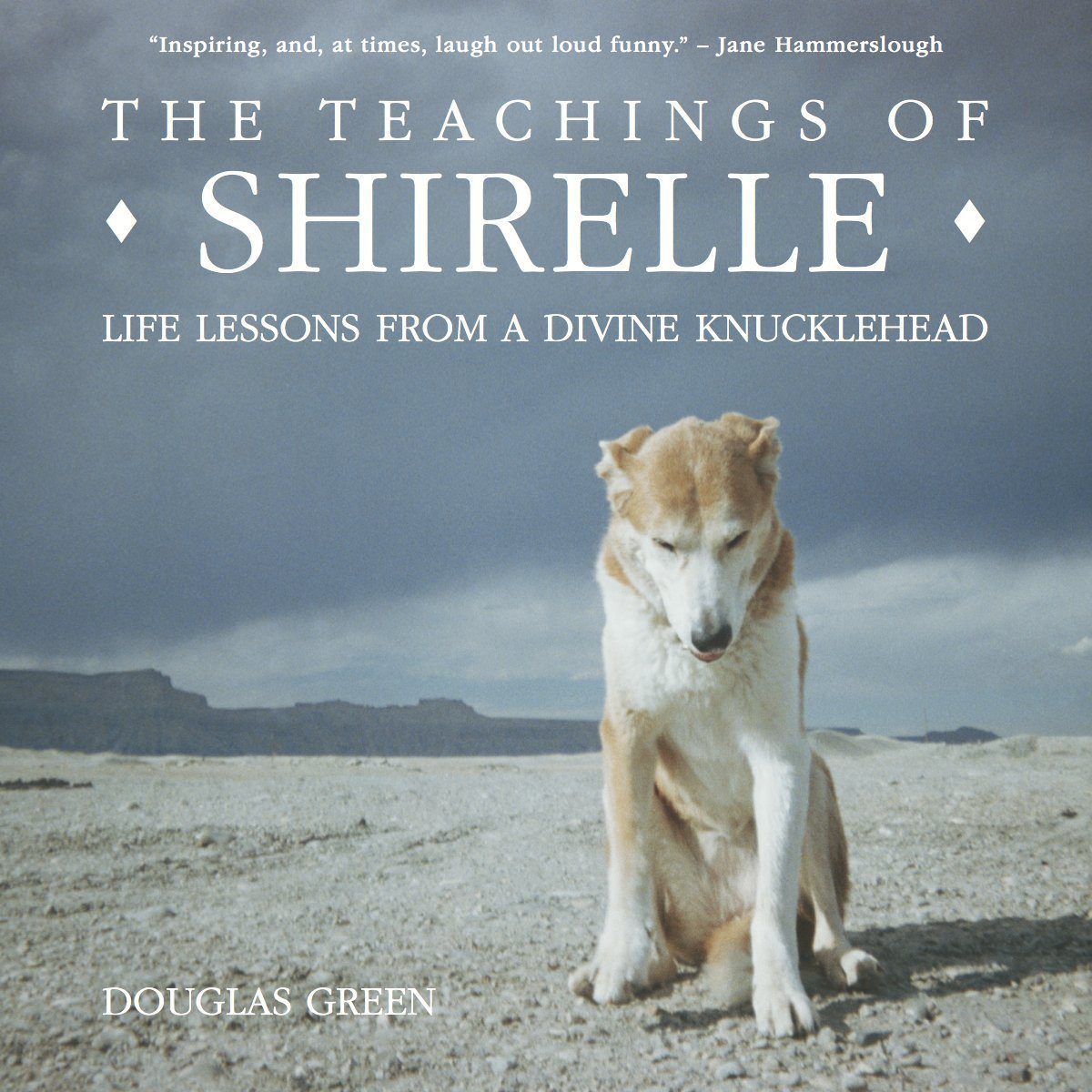 The Teachings of Shirelle: Life Lessons from a Divine Knucklehead http://amzn.to/1POLzuj