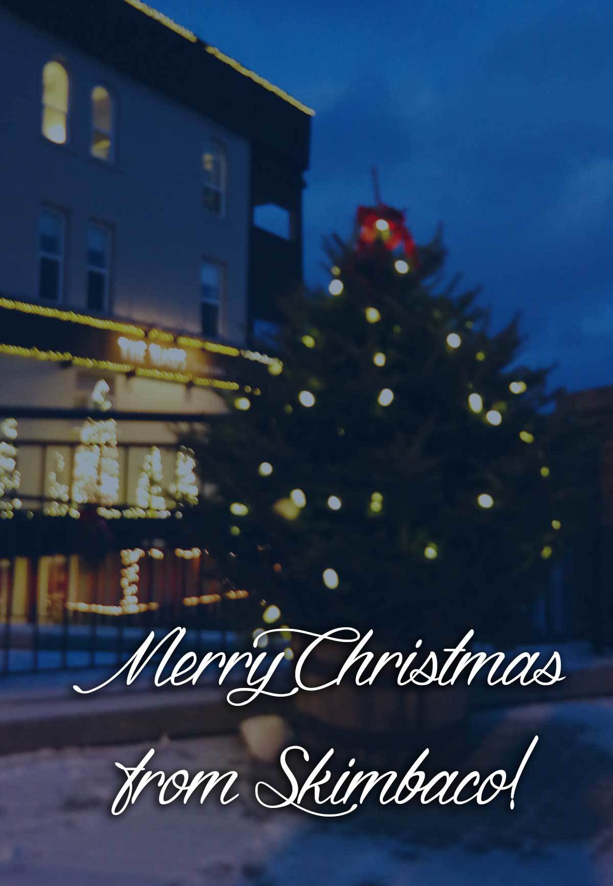 Merry Christmas! Share your Christmas photos with #skimbacoholidays