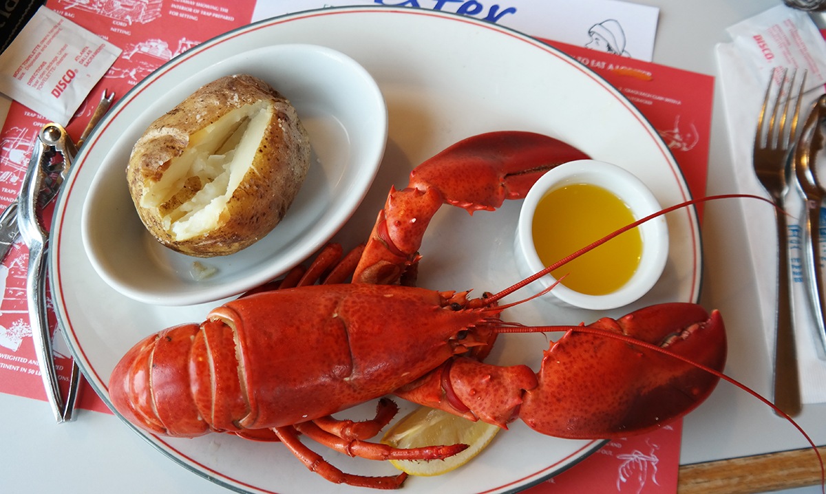 Lobster dinner in Nova Scotia