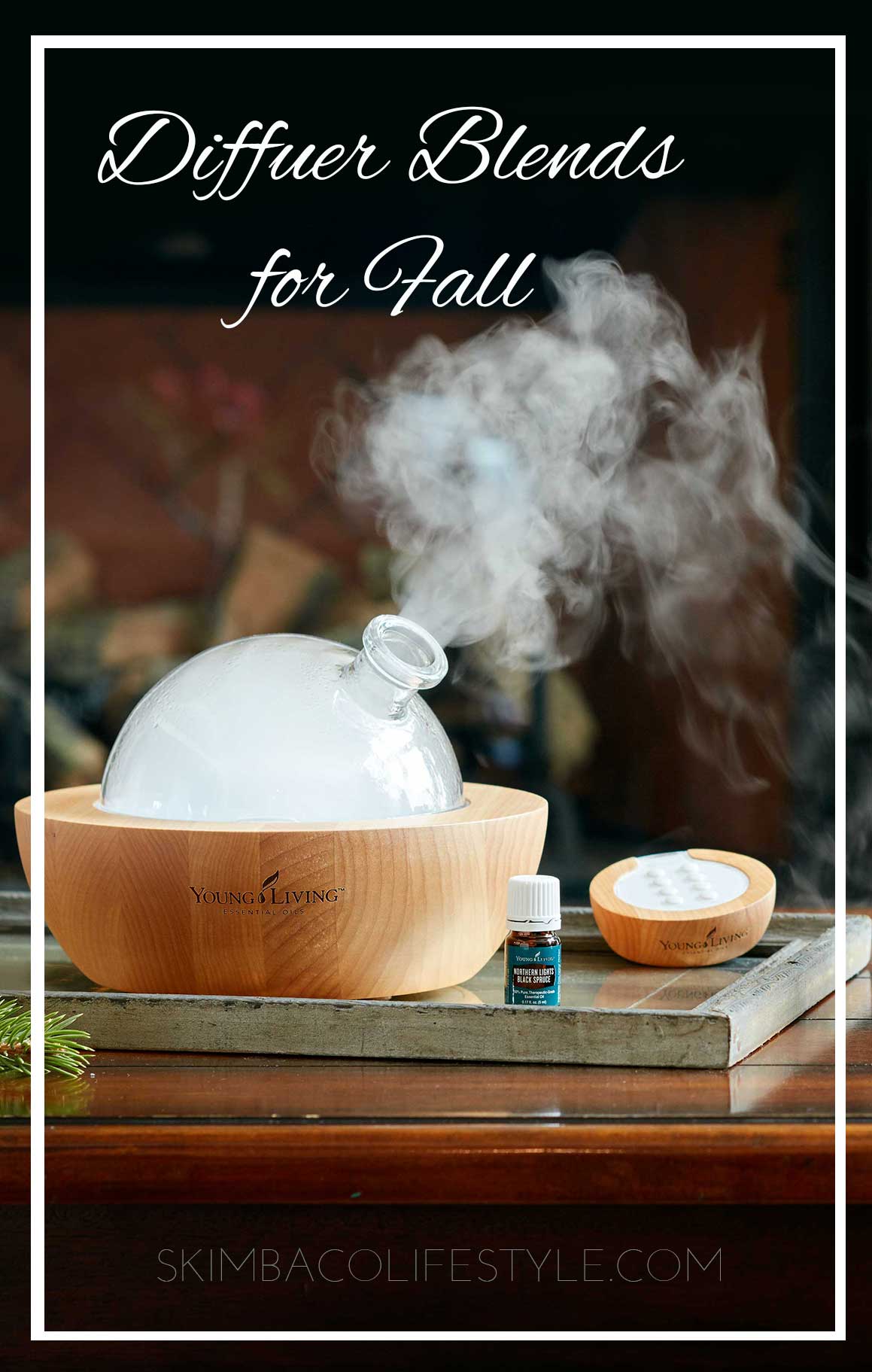 Diffuser essential oil blends for fall